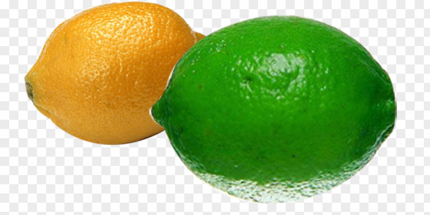 Lemon N Persian Lime Key Tangelo PNG