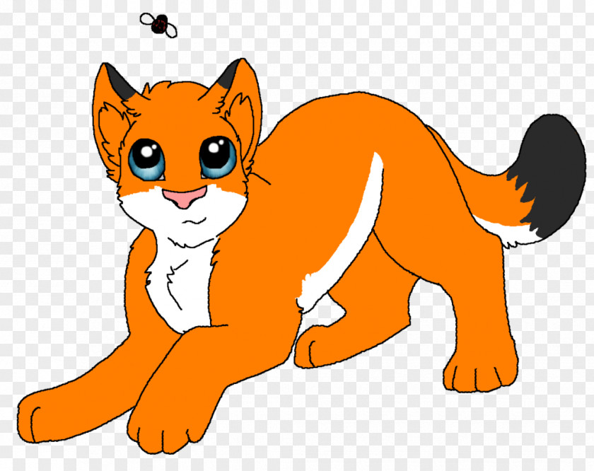 Lion Whiskers Cat Red Fox Animal PNG