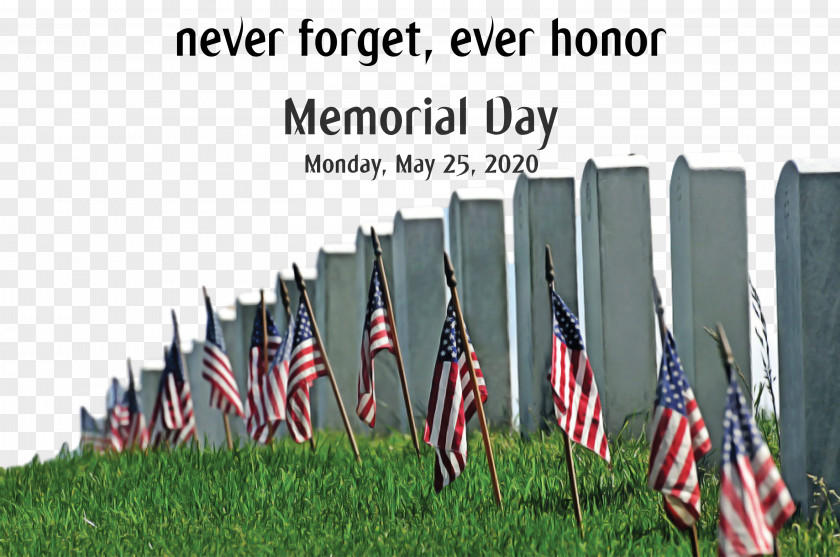 Memorial Day PNG