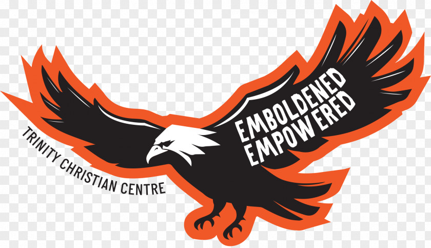Church Christian Centre Eagle Logo Email PNG
