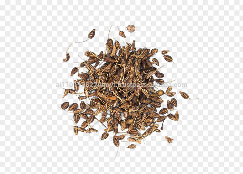 Fennel Aniseed Anise Spice Oil Herb PNG