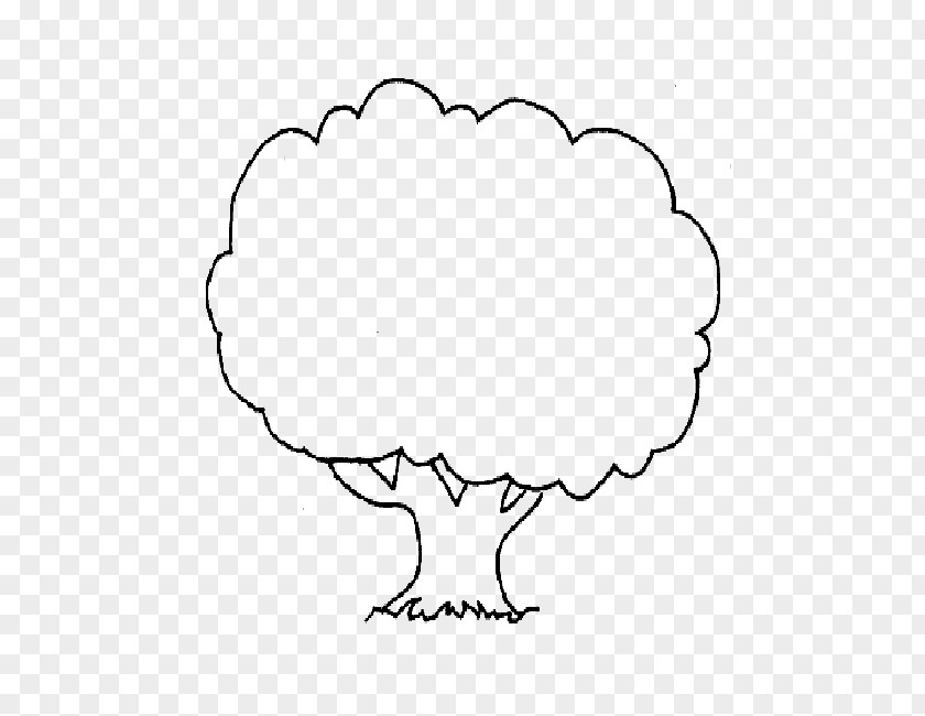 Meteorological Phenomenon Cloud Coconut Tree Drawing PNG