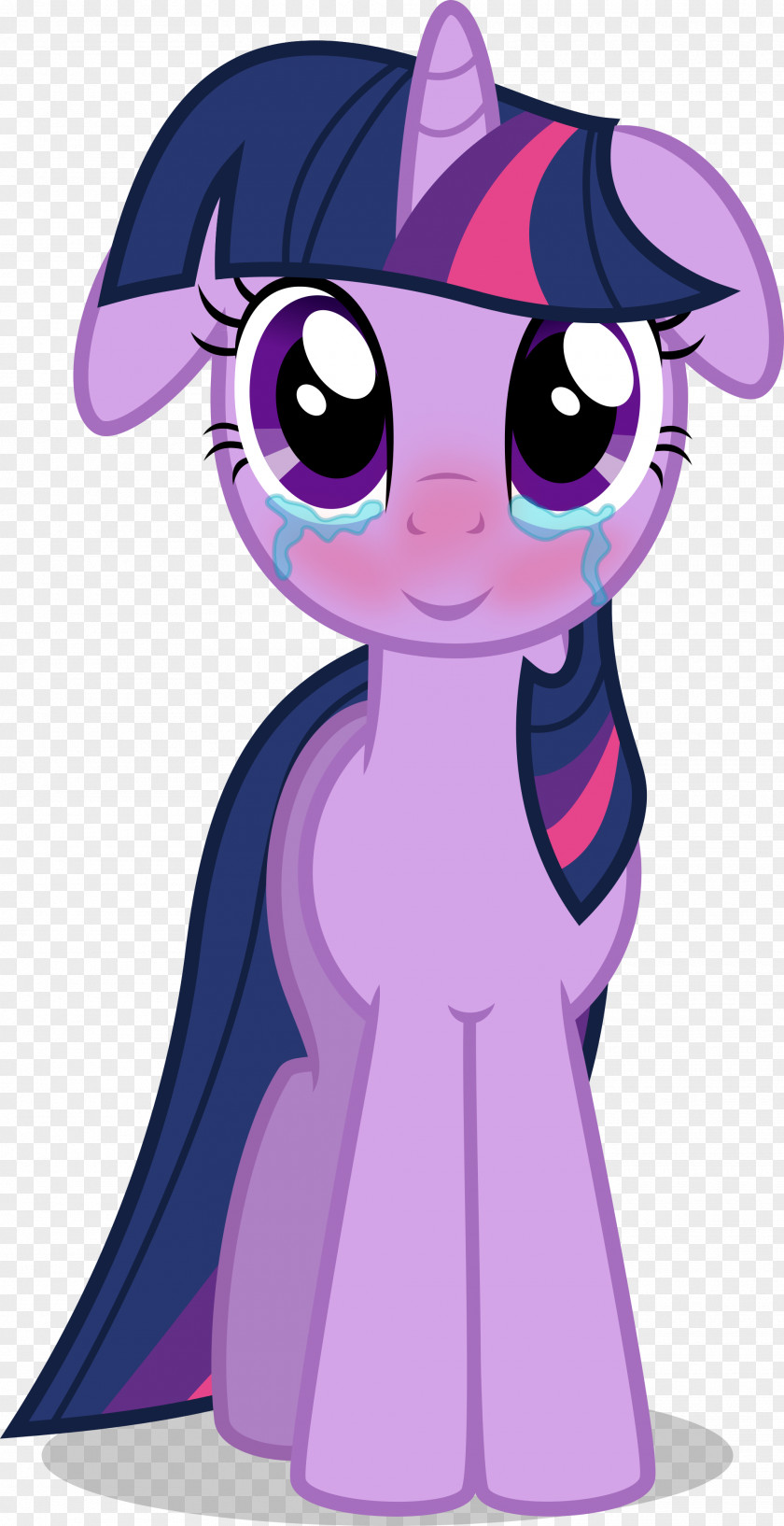 My Little Pony Twilight Sparkle Rarity Crying PNG