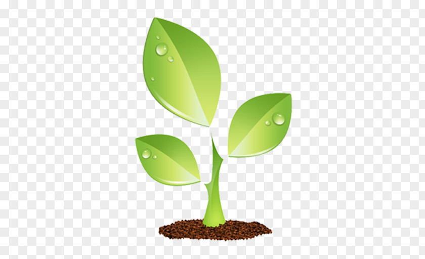 Plants Environment Lenvironnement Vector Graphics Leaf Shrub Nursery PNG