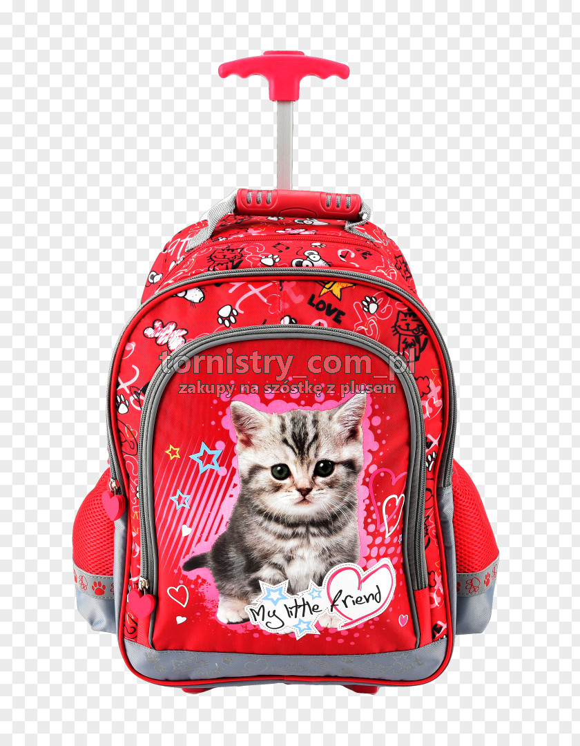 Backpack Poland Ransel Bag My Little Pony PNG