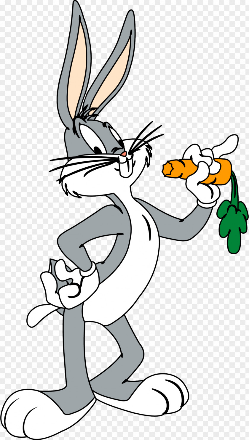 Bugs Bunny Elmer Fudd Daffy Duck Looney Tunes Cartoon PNG