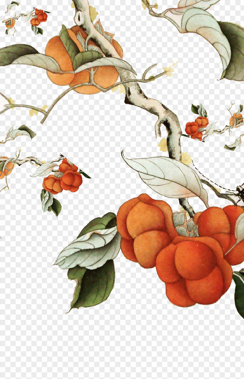 Painting Persimmon Tree Marriage Ink Wash PNG