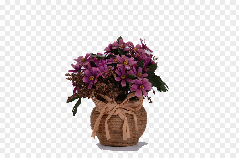 Rope Wildflowers Wildflower Purple PNG