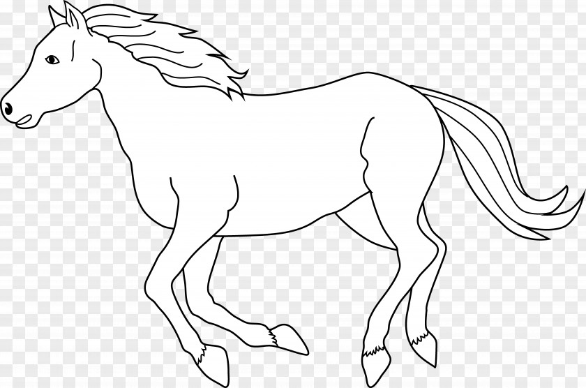 Running Horse Images Tennessee Walking Black And White Free Content Clip Art PNG