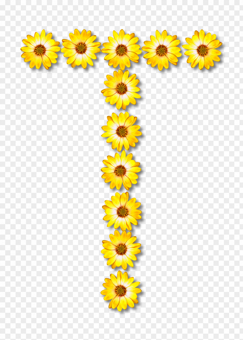 Zipper Common Sunflower Cut Flowers Alphabet Clip Art PNG