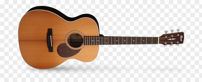 Acoustic Guitar Steel-string Cort Guitars Bass PNG