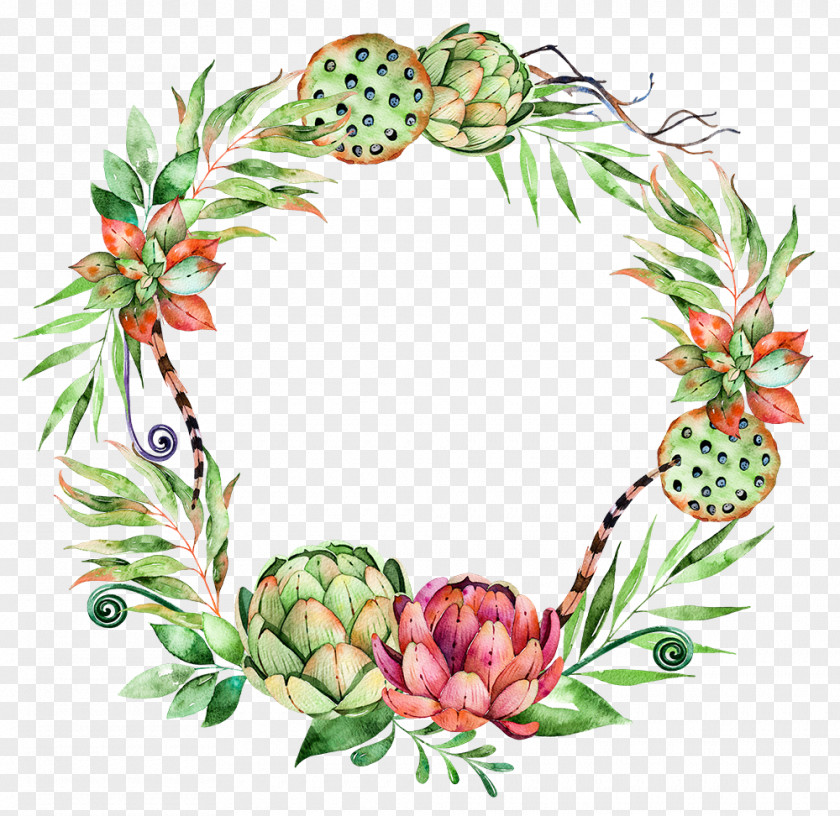 Hand Drawn Ink Lotus Seeds Flower Succulent Plant Wreath Illustration PNG