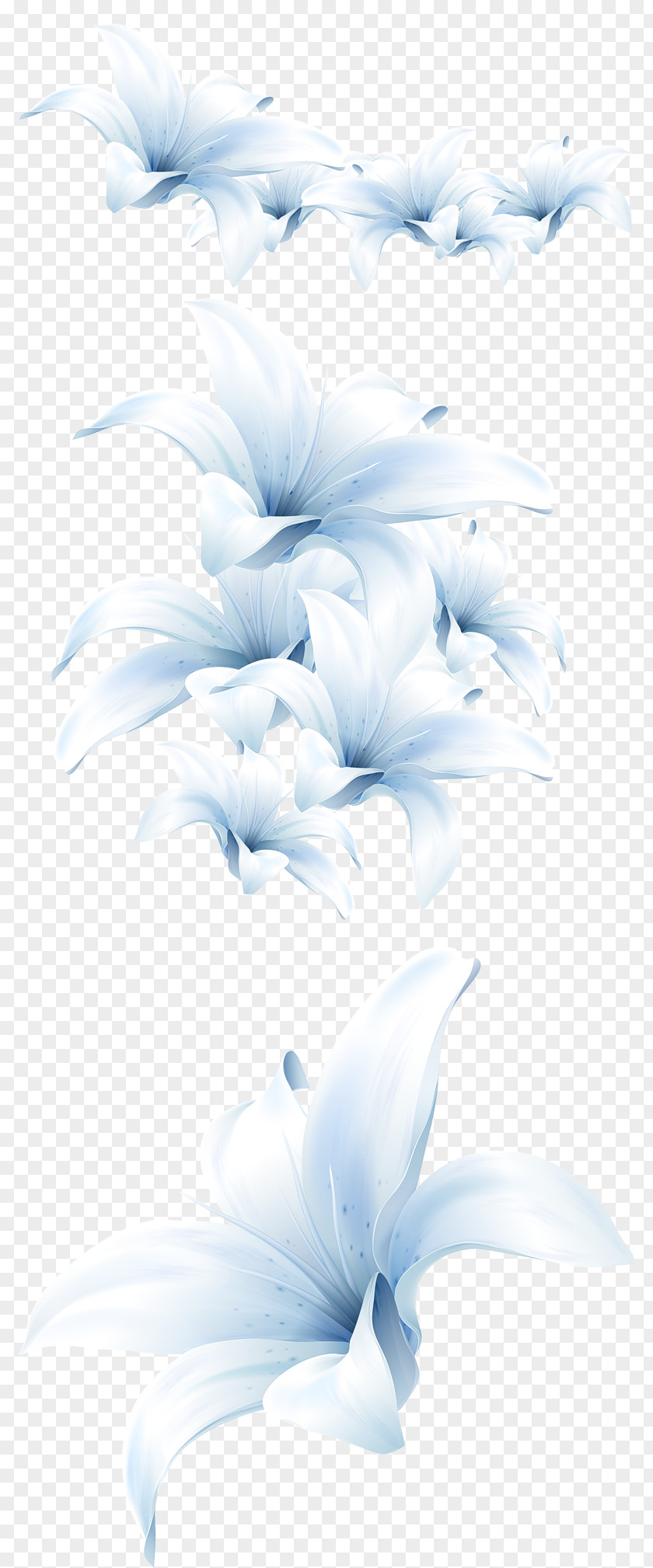 Lily Bouquet Flower Lilium Candidum Lotion PNG