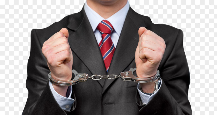 United States Criminal Defense Lawyer Law White-collar Crime PNG