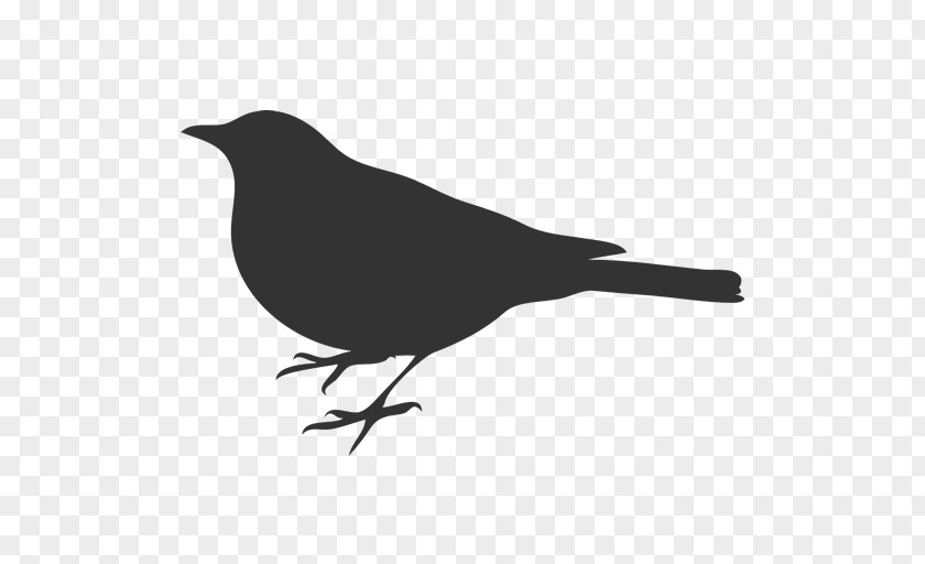 Bird Silhouette Clip Art PNG