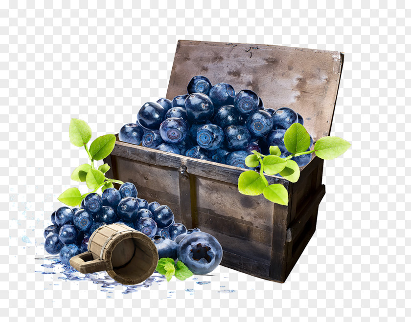 Blueberry Fruit Berries American Muffins Jam PNG