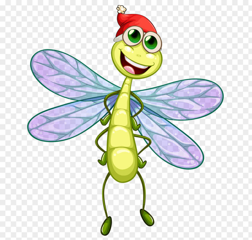 Cartoon Dragonfly Insect Illustration PNG