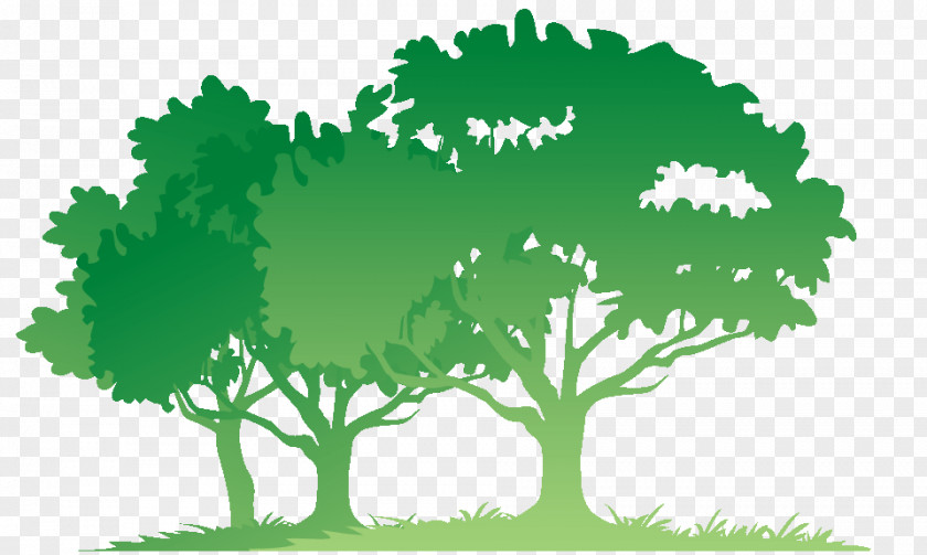 Forest Silhouette Bible Tree Child Donation Therapy PNG