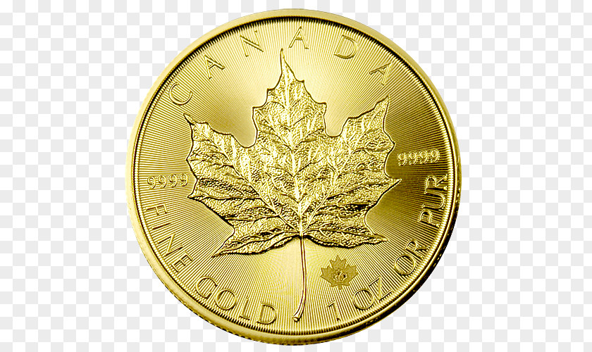 Gold Coins Canadian Maple Leaf Coin PNG