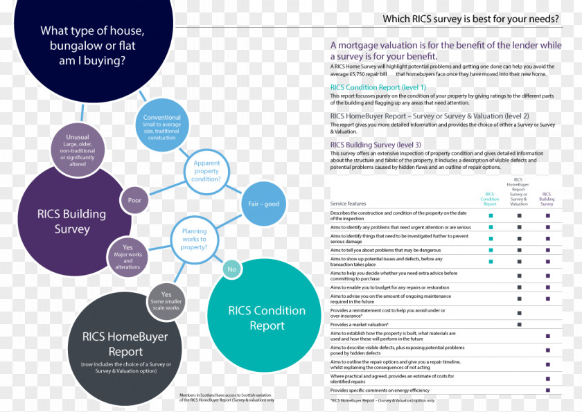 London Flyer RICS Chartered Building Surveyor Valuation Architectural Engineering PNG