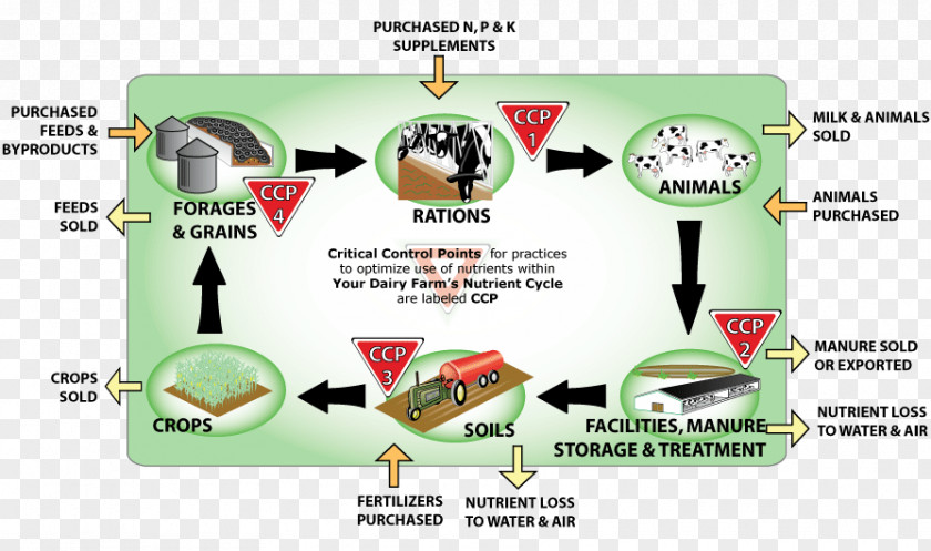 Public Morality Propaganda Map Nutrient Cycle Farm Agriculture Phosphorus PNG