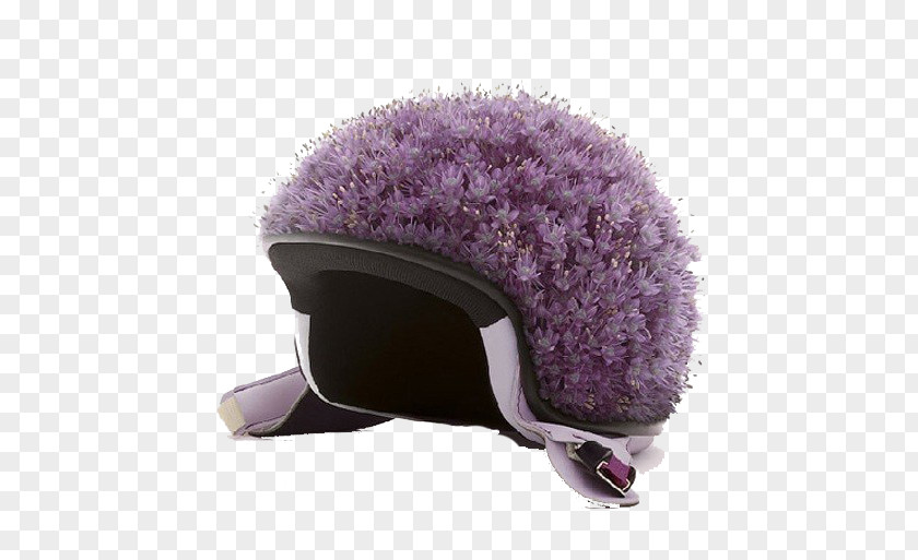 Purple Lavender Helmet Photographer Photography Graphic Designer Art PNG