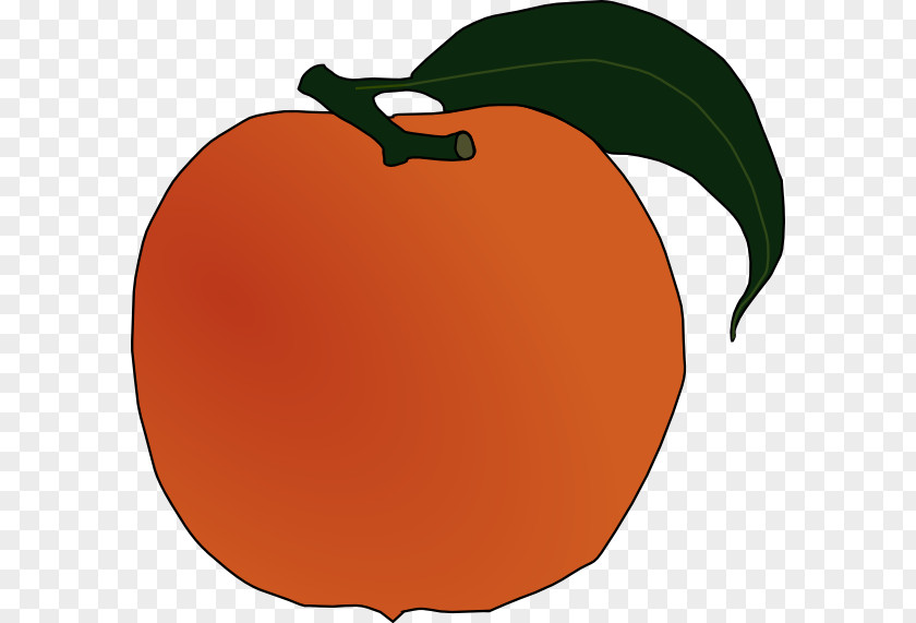 Peach Branch Fruit Clip Art PNG