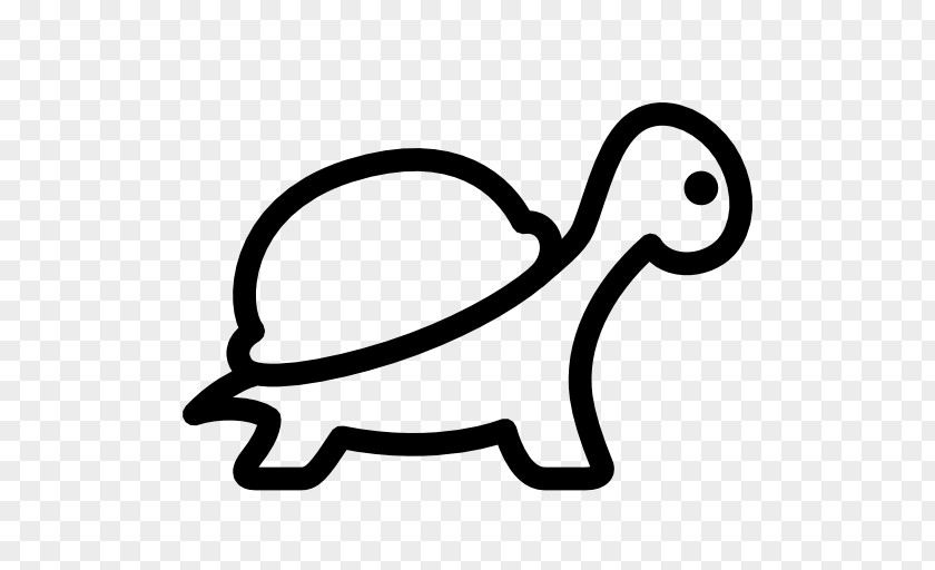 Slowly Turtle Rabbit PNG
