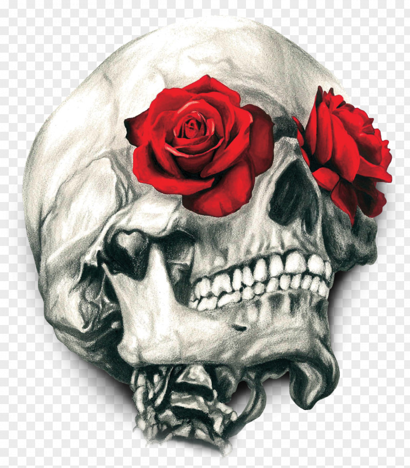 T-shirt Human Skull Symbolism Rose Calavera PNG