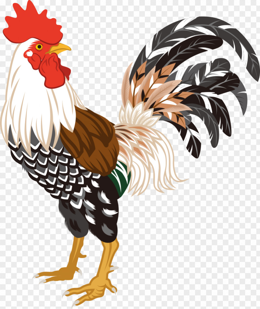 Vector Lively Cock Chicken New Year Card Japanese Years Day PNG