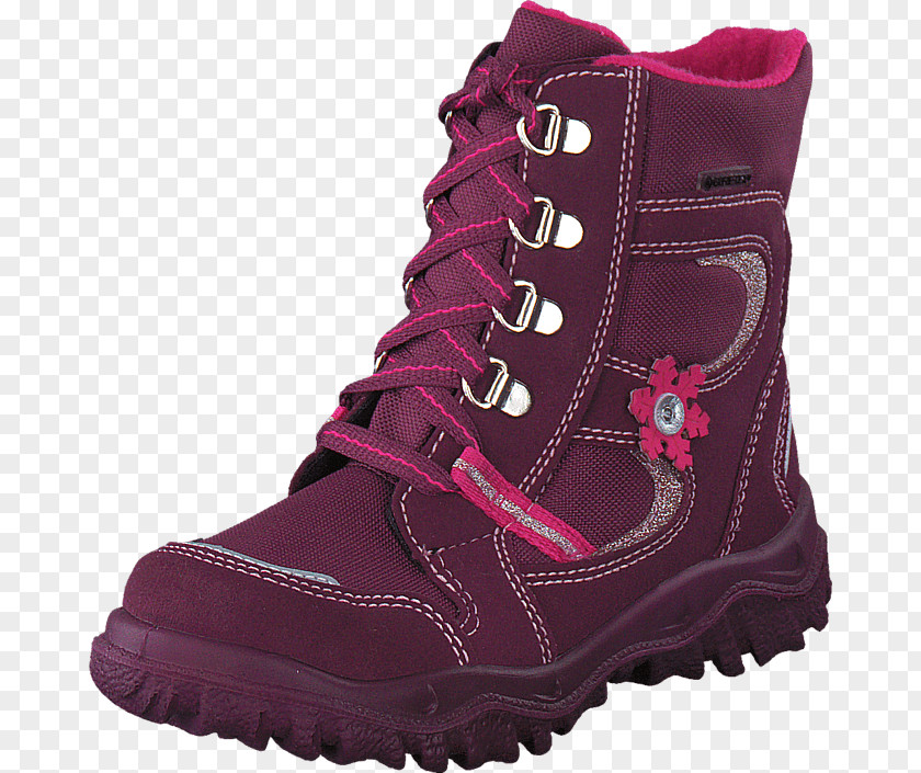 Gore-Tex Snow Boot Hiking Sneakers Shoe PNG