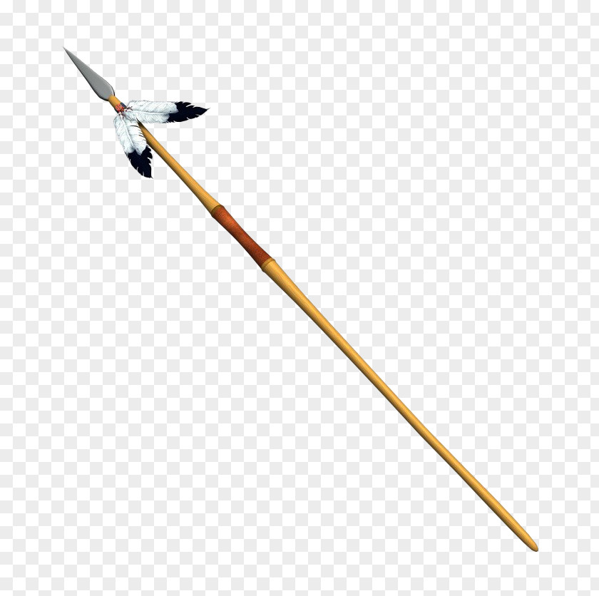 Native Spear Weapon Pike PNG