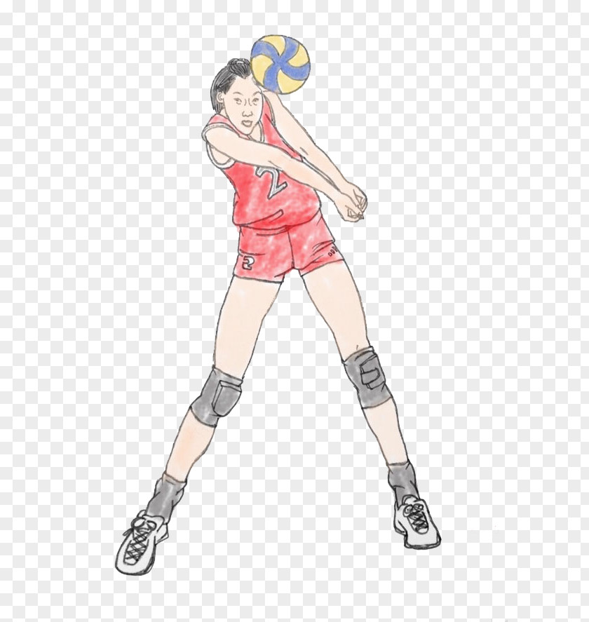 Women's Volleyball Picture Cartoon Gratis PNG