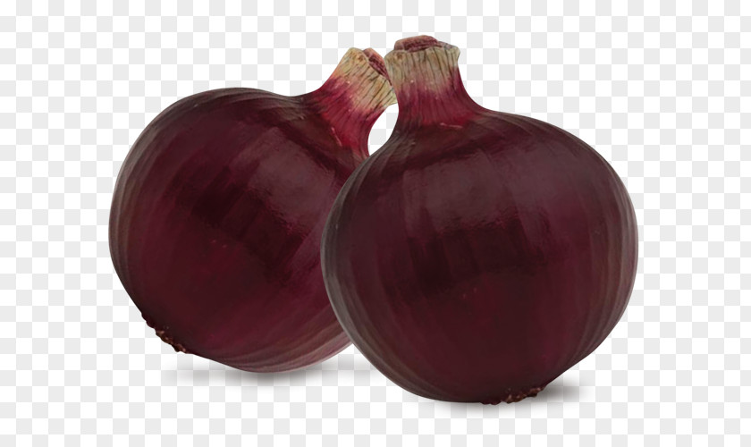 CEBOLLA Yellow Onion Shallot Beetroot Red PNG