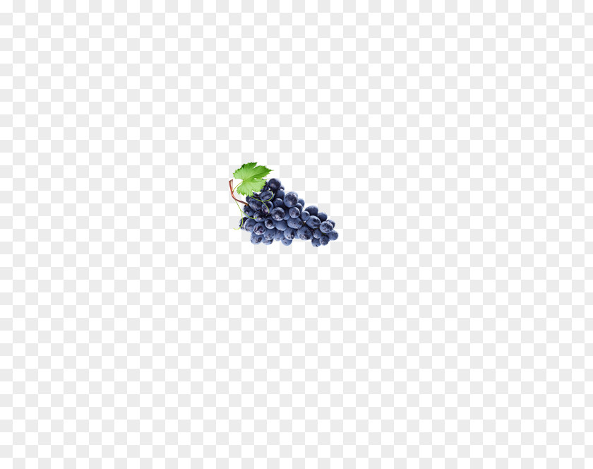 Grape Wine Leaves Fruit PNG