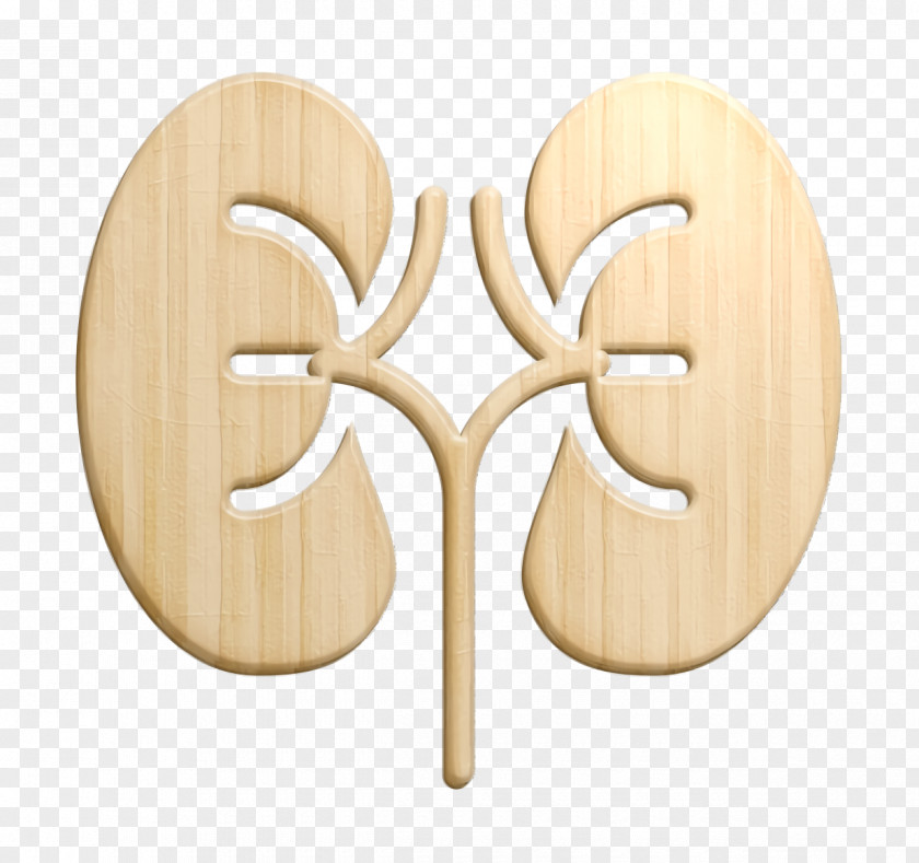 Kidney Icon Medical PNG