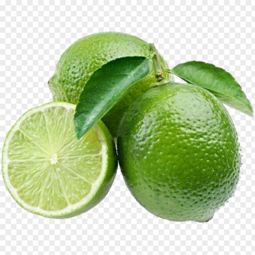 Lime Juice Lemon-lime Drink Persian Key PNG