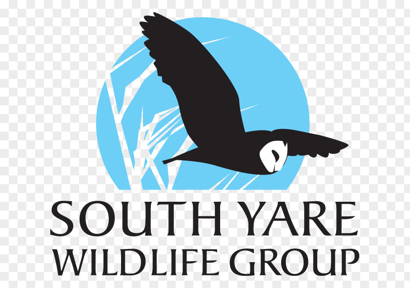 Owl Logo Forest School Wildlife Garden Project PNG
