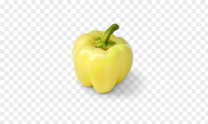 Paprika Chili Pepper Yellow Bell Peppers Pimiento PNG