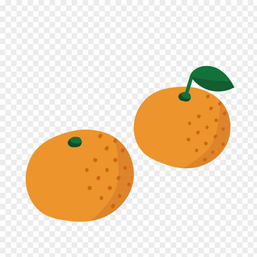 Tangerine Satsuma Mandarin Fruit Winter PNG