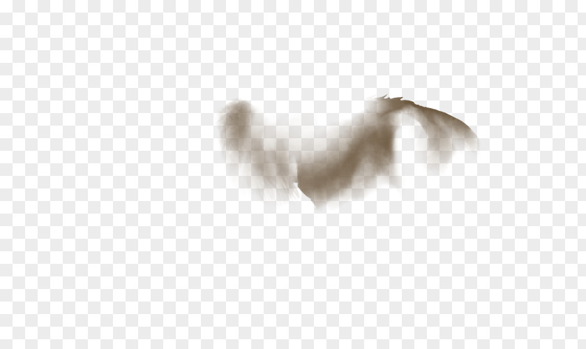 Ripples Dog White Feather Snout Wing PNG