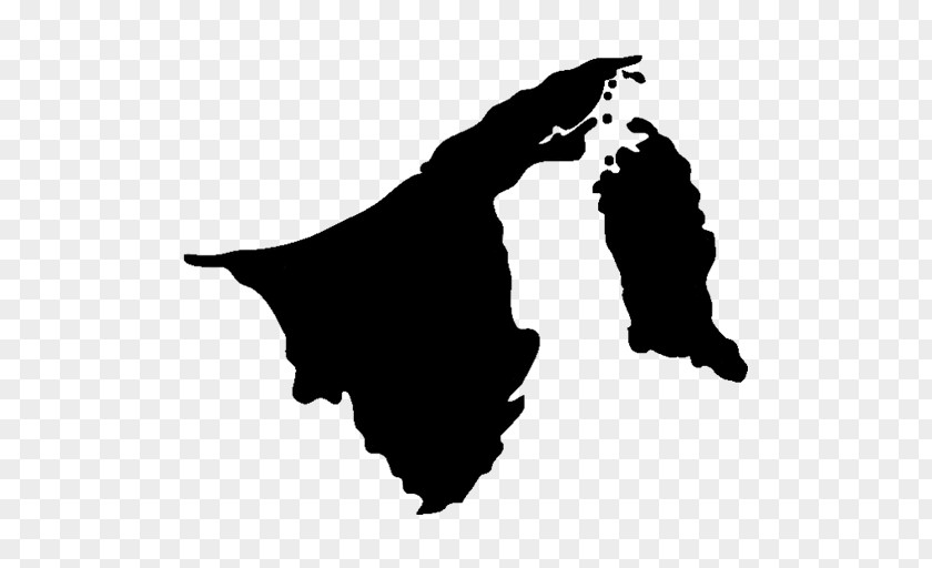 Shadow Flag Of Brunei Drawing Vector Map PNG