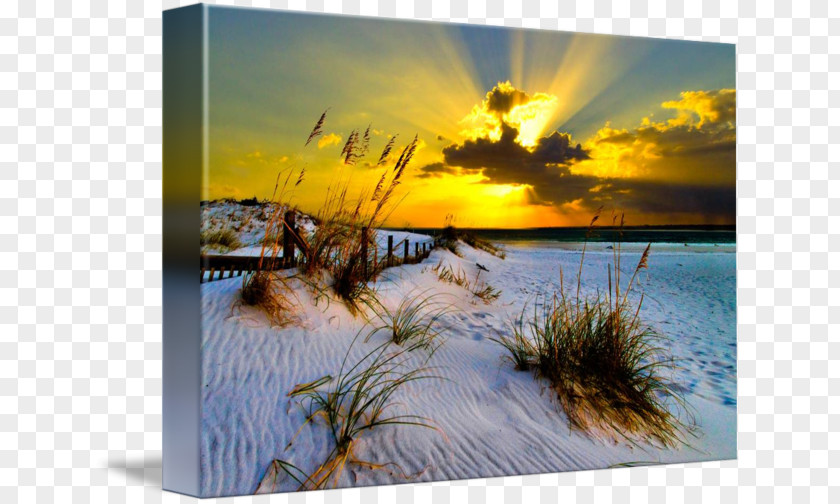 SUN RAY Landscape Painting Photography Light PNG