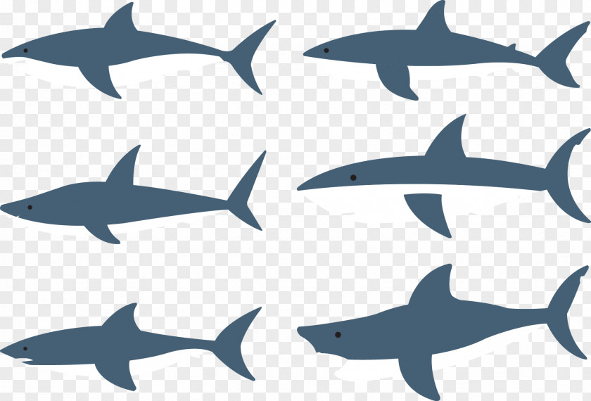 Vector Variety Of Sharks Shark Fish Clip Art PNG