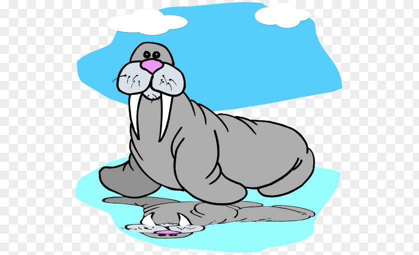 Walrus Animaatio PNG