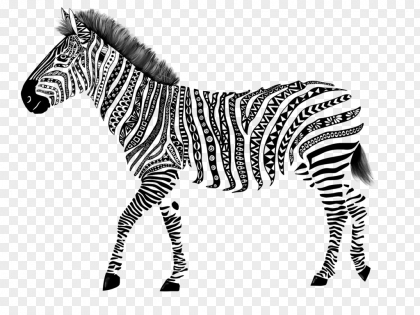 Zetangle Quagga Zebra Drawing Art PNG