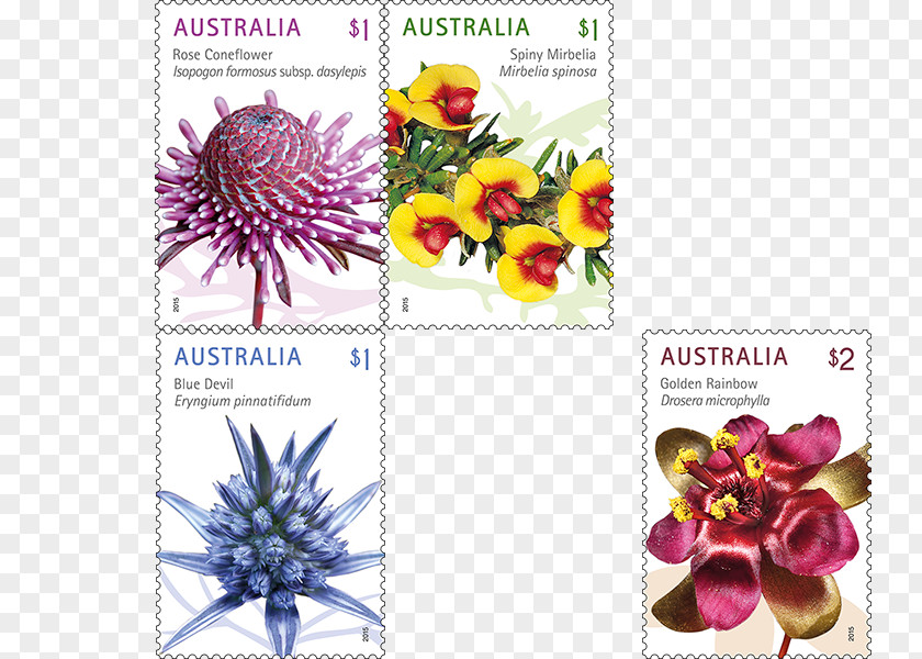 Australian Flowers Postage Stamps Wildflower Australia Post Mail PNG