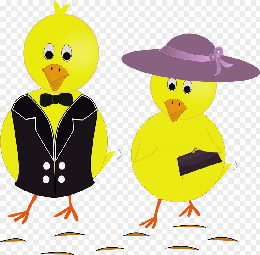 Chick Chicken Clip Art PNG