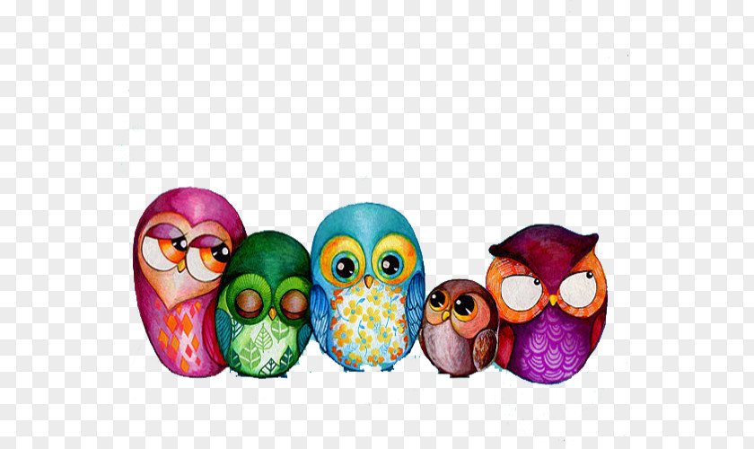 Color Cute Owl Family Bird Painting Drawing Art PNG