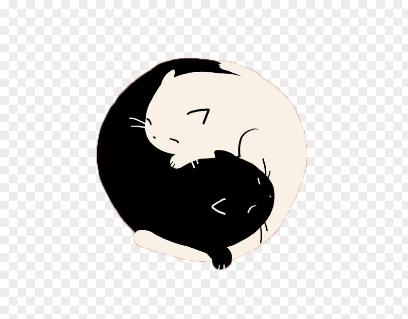 Hand-painted Black And White Cat Yin Yang T-shirt PNG